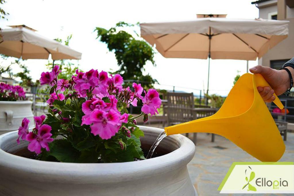 Ellopia Point Hotel Яніна Екстер'єр фото